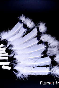 Oie - Plume indienne - 30-35 cm - blanc-noir